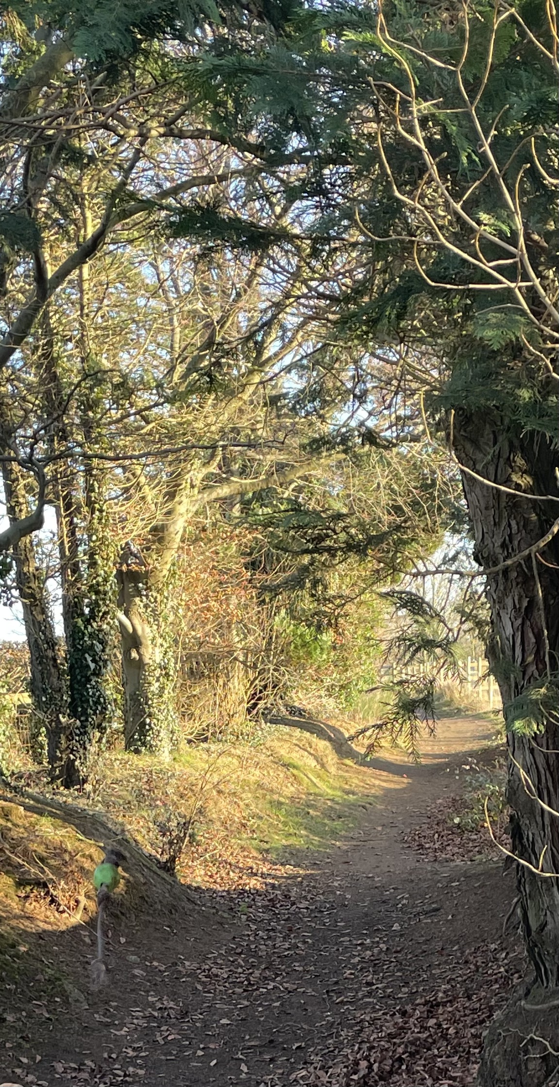 Visualisation Exercise - time for you. 